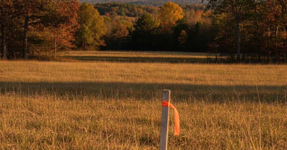 How to check property tax on land before buying in any state