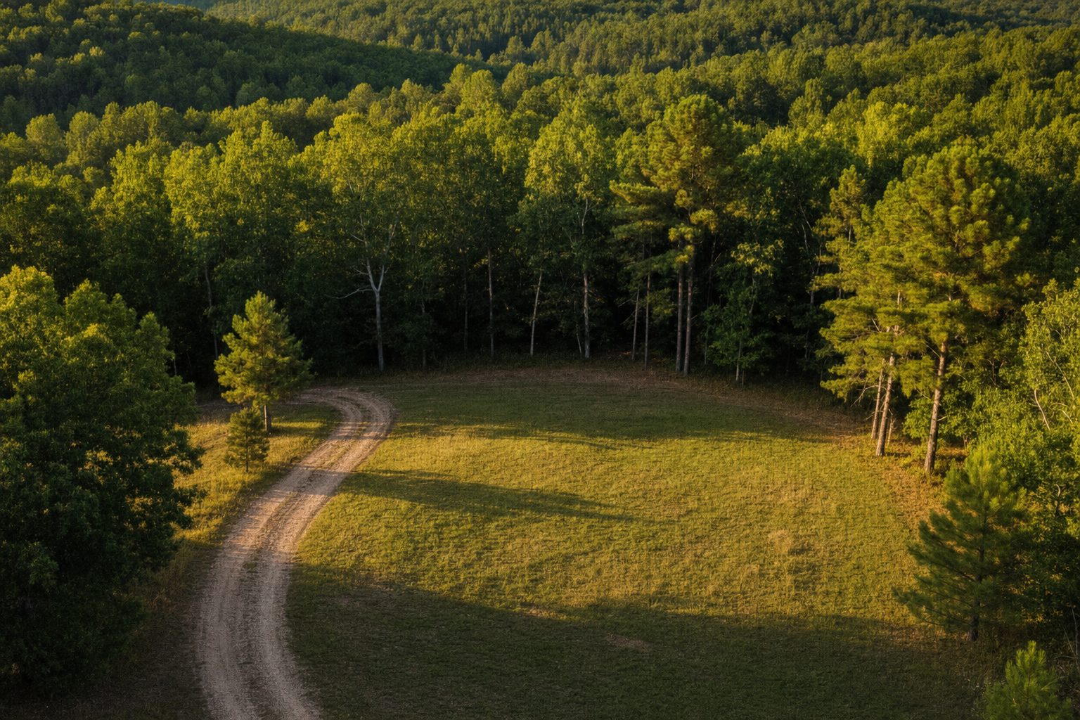 How to research land before buying: the free tools I use