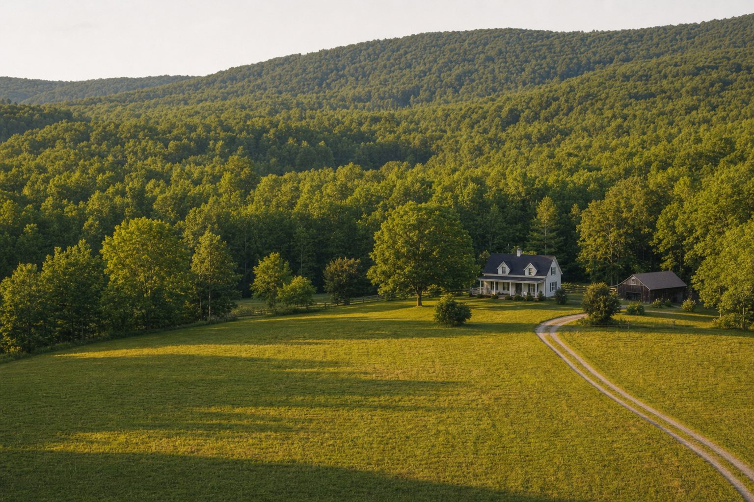 Limited warranty deed vs warranty deed: what a buyer should ask